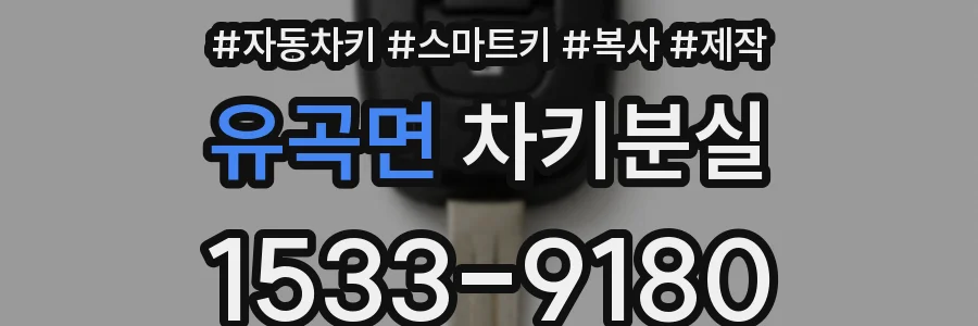 유곡면 차키분실