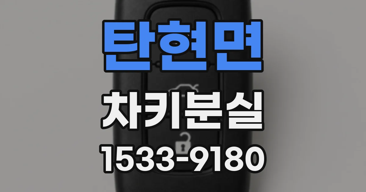 탄현면 차키분실