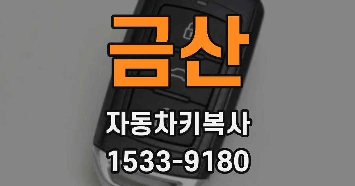 금산 자동차키복사