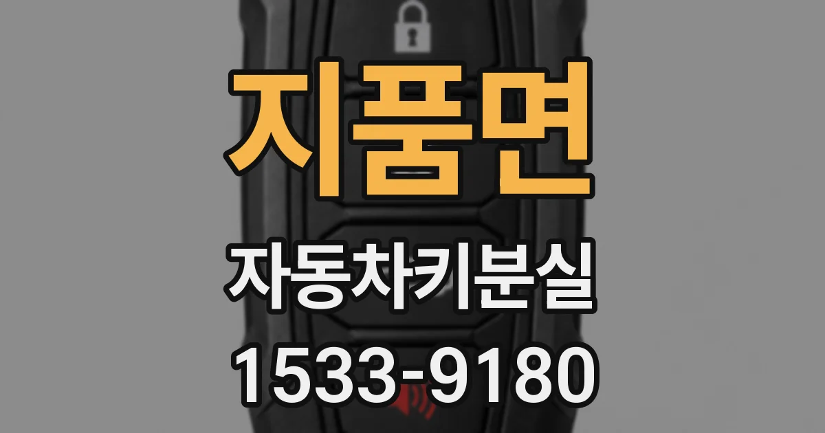 지품면 자동차키분실