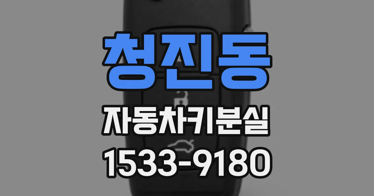 청진동 자동차키분실