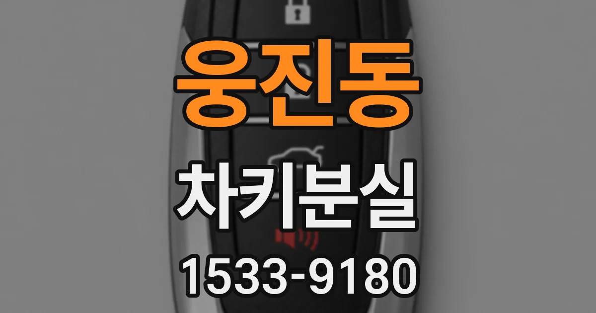 웅진동 차키분실