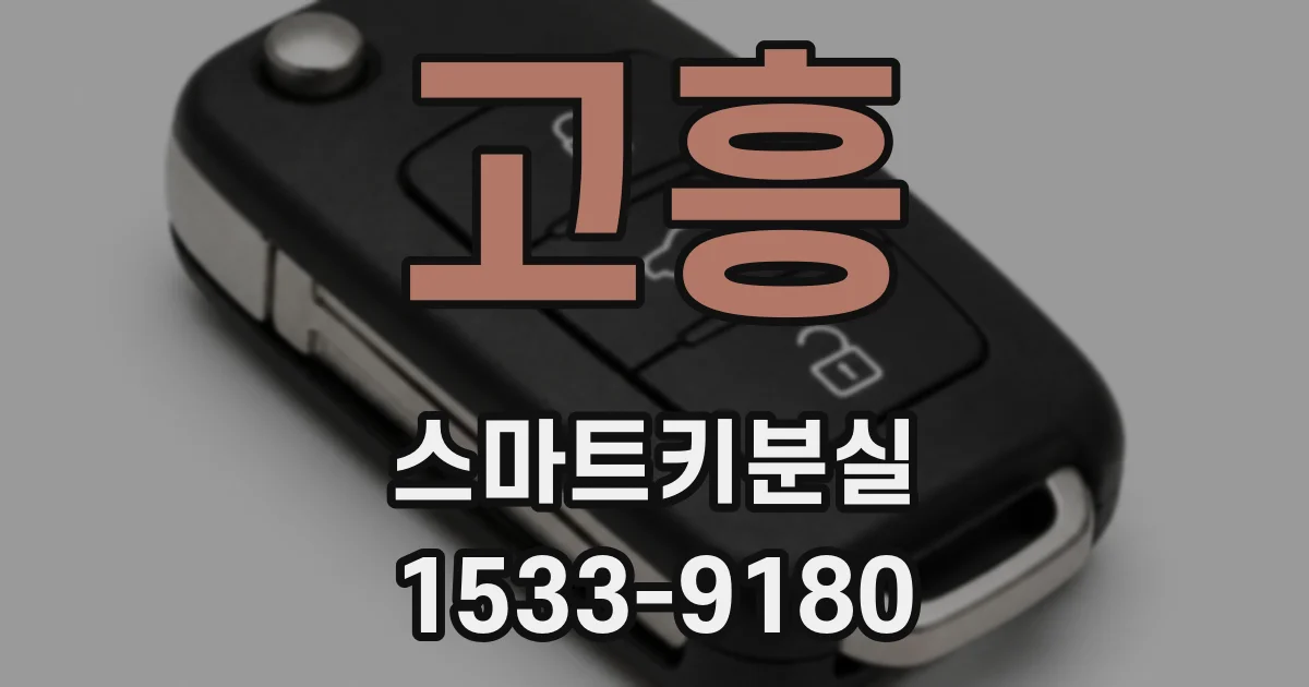고흥 스마트키분실