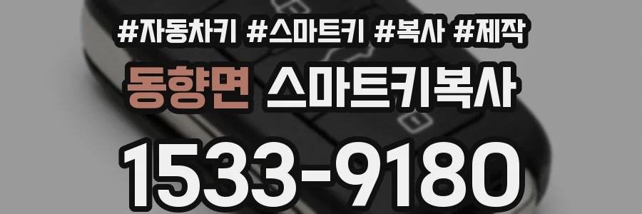 동향면 스마트키복사