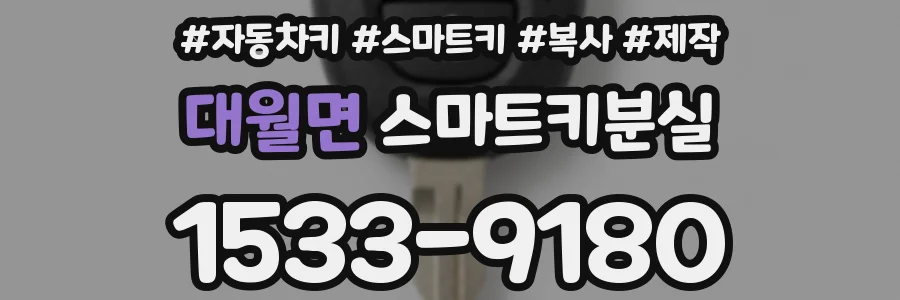 대월면 스마트키분실