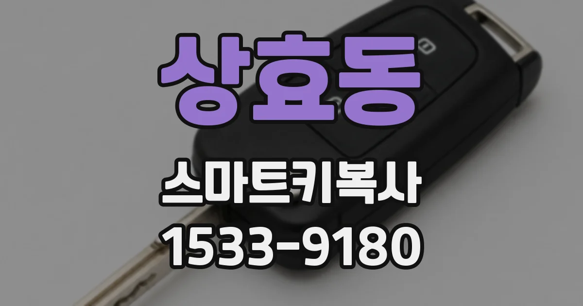 상효동 스마트키복사