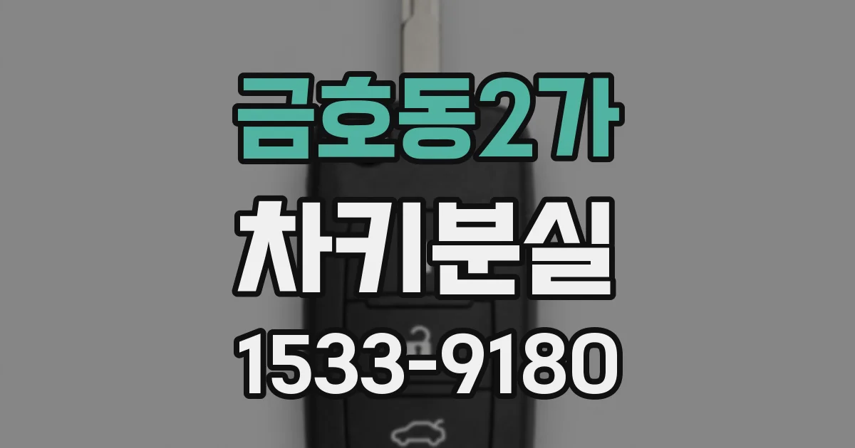 금호동2가 차키분실