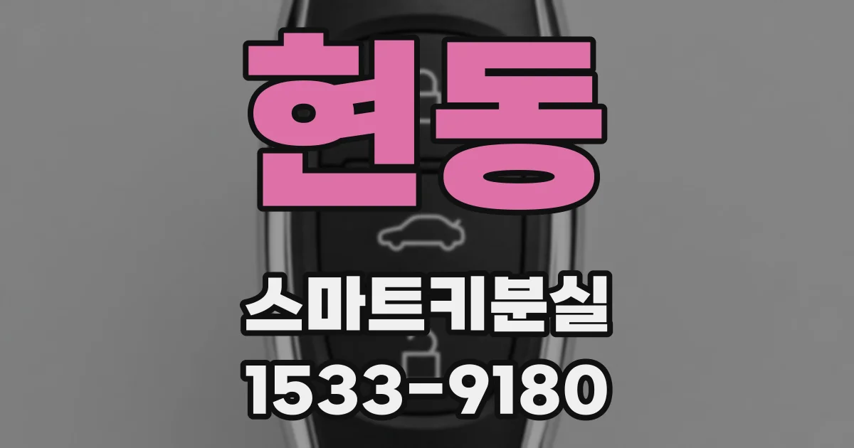 현동 스마트키분실