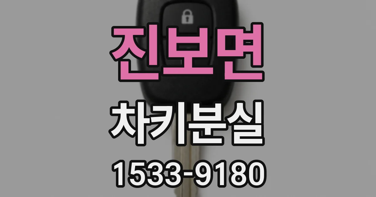 진보면 차키분실