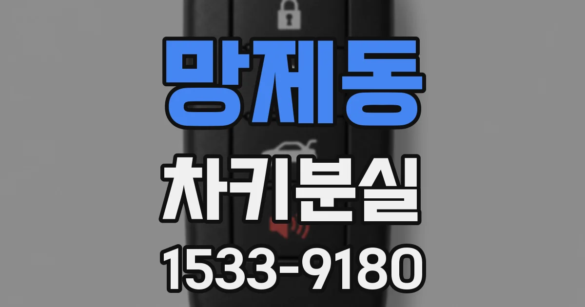 망제동 차키분실