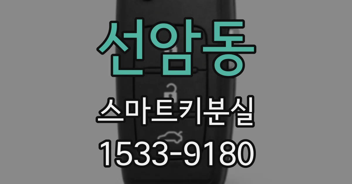 선암동 스마트키분실