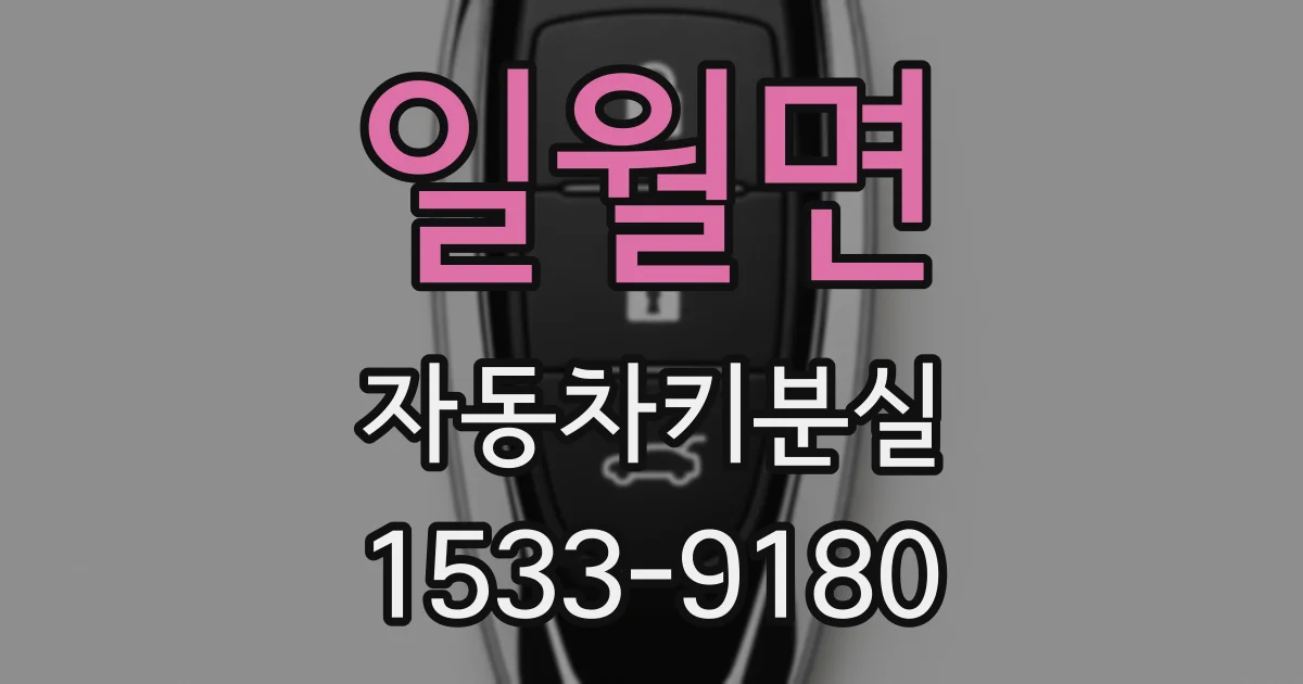 일월면 자동차키분실