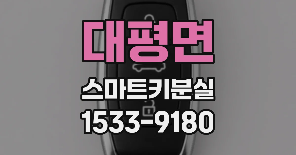 대평면 스마트키분실