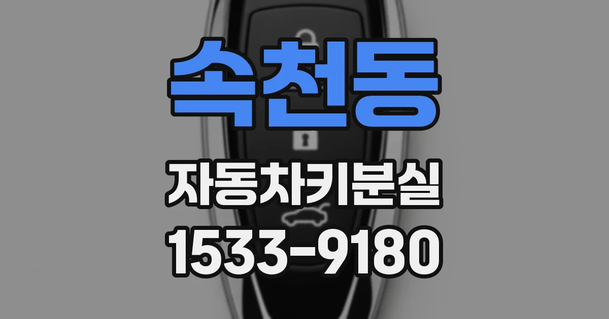 속천동 자동차키분실