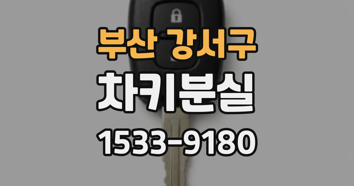 부산 강서구 차키분실