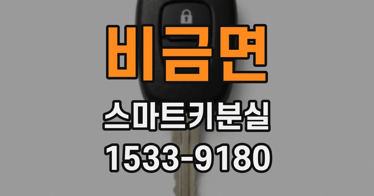 비금면 스마트키분실