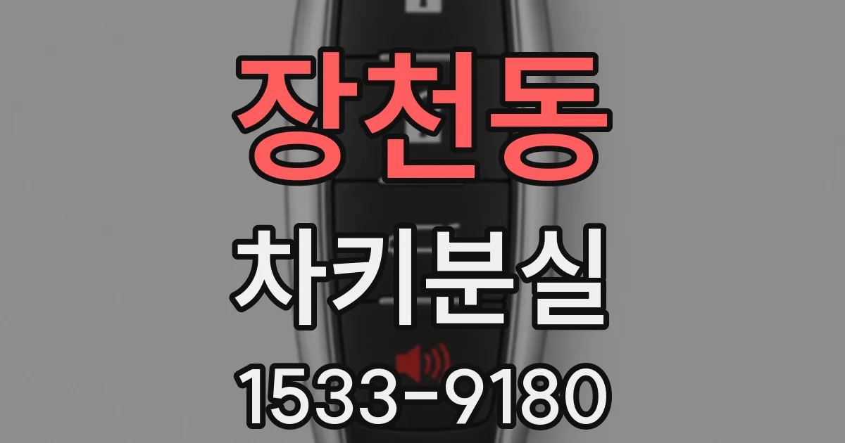 장천동 차키분실