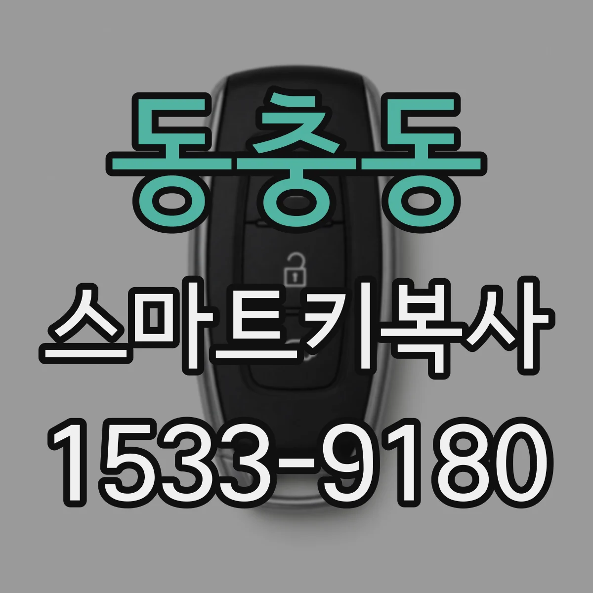 동충동 스마트키복사