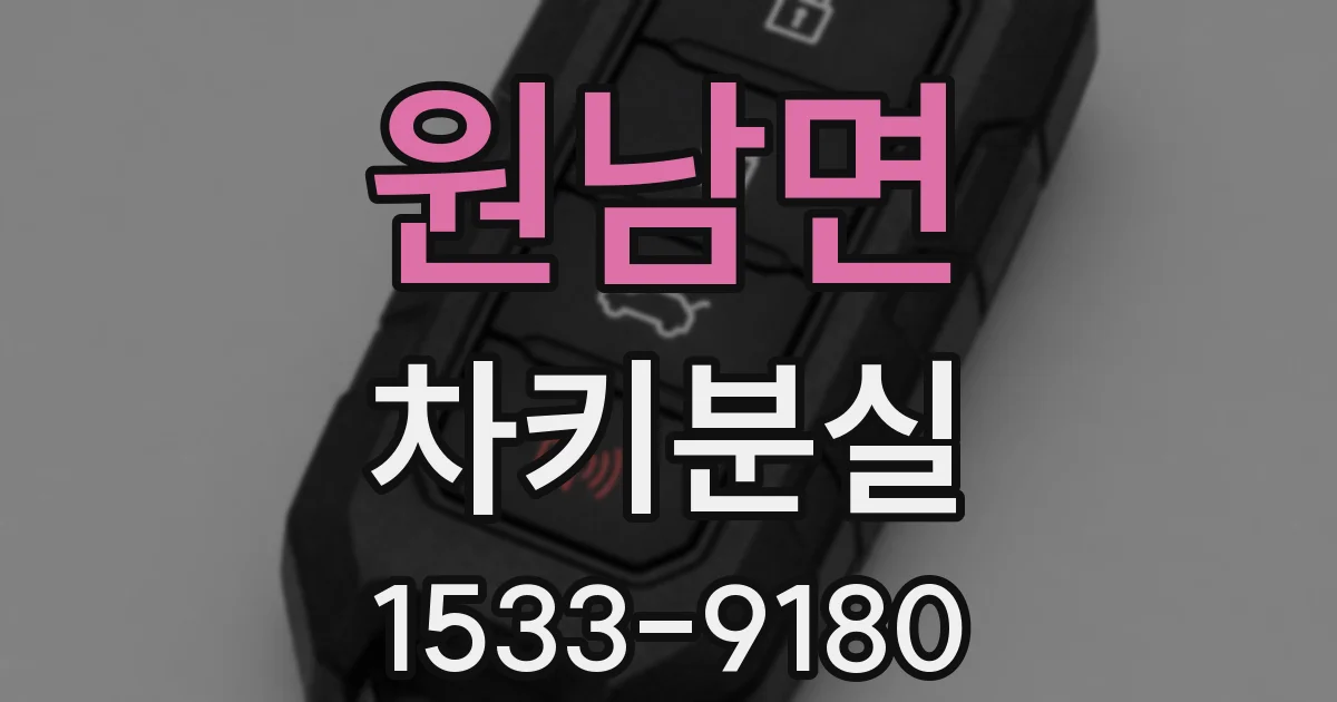 원남면 차키분실