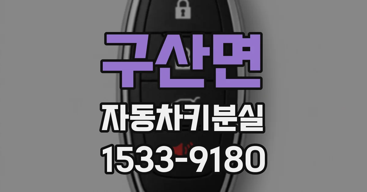 구산면 자동차키분실