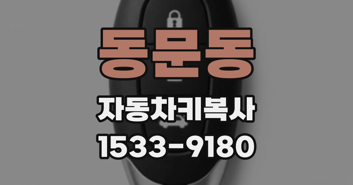 동문동 자동차키복사