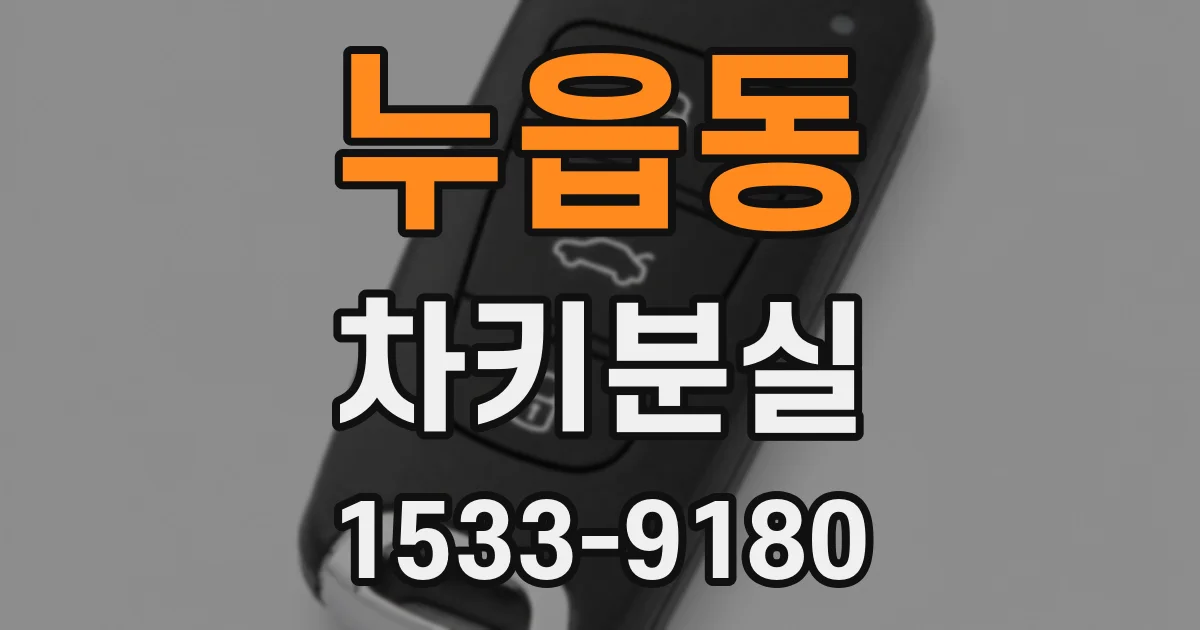 누읍동 차키분실