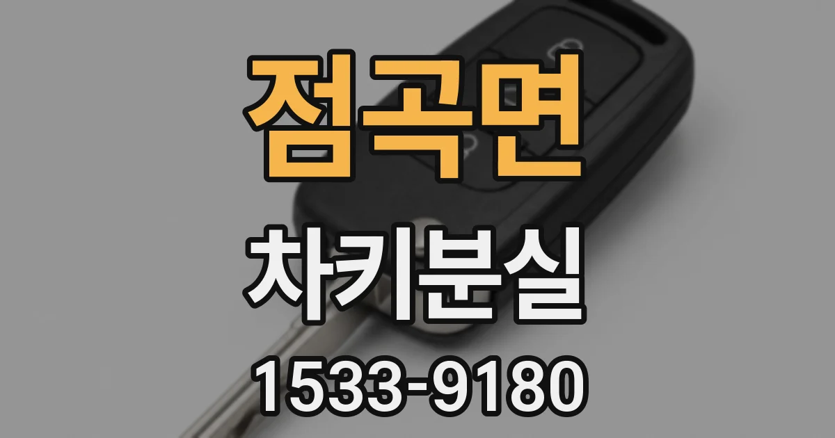 점곡면 차키분실