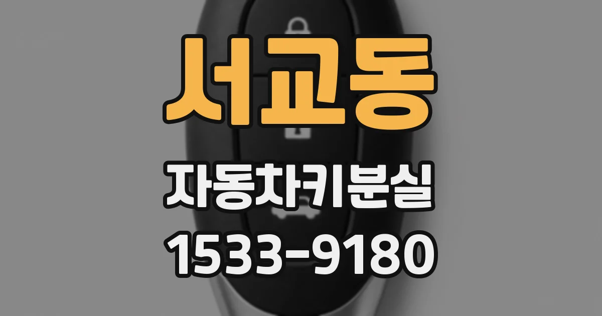 서교동 자동차키분실