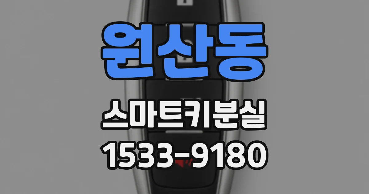 원산동 스마트키분실
