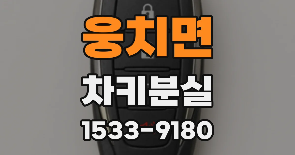 웅치면 차키분실