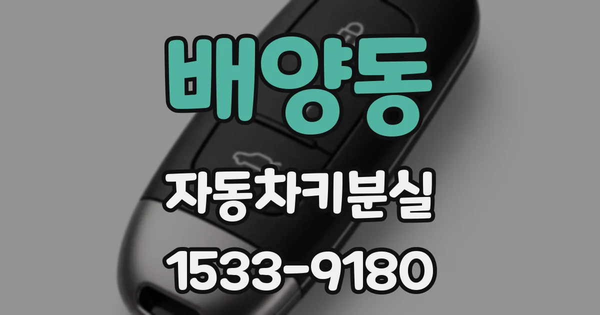 배양동 자동차키분실