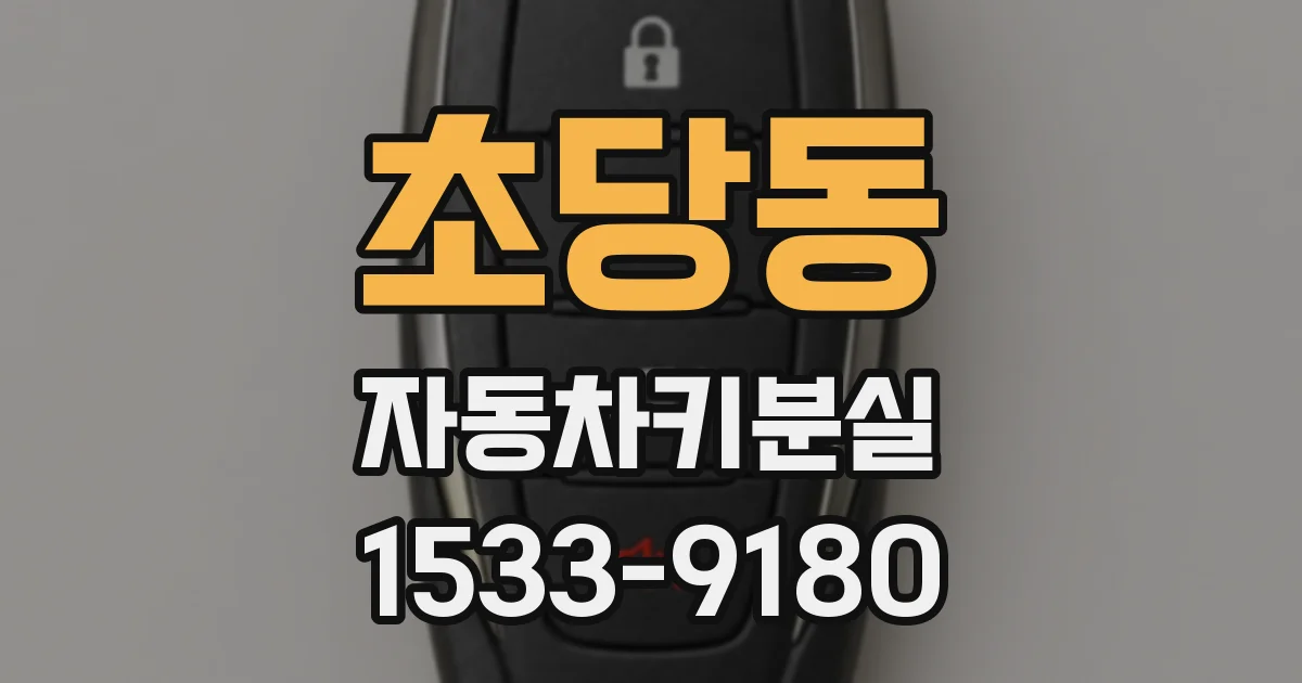 초당동 자동차키분실