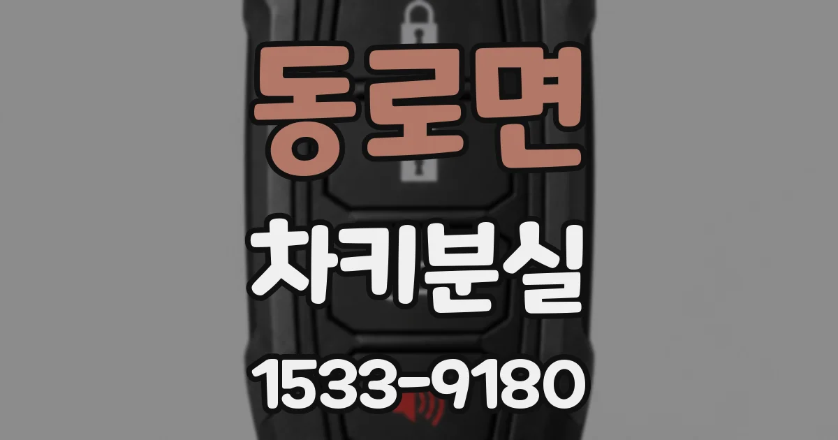 동로면 차키분실