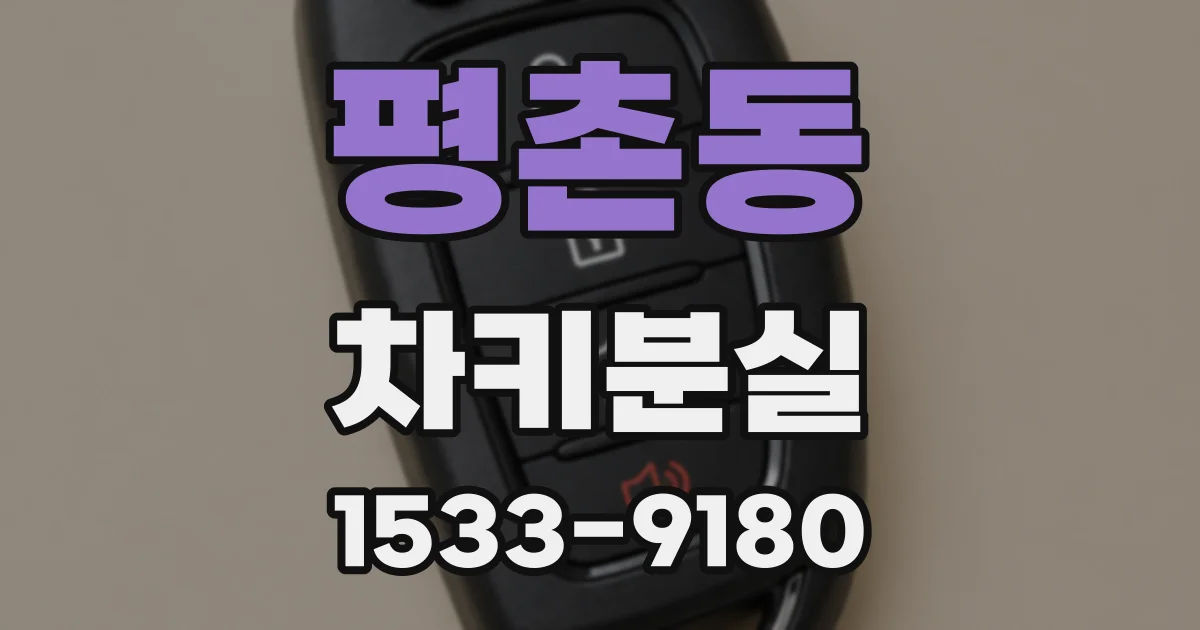 평촌동 차키분실