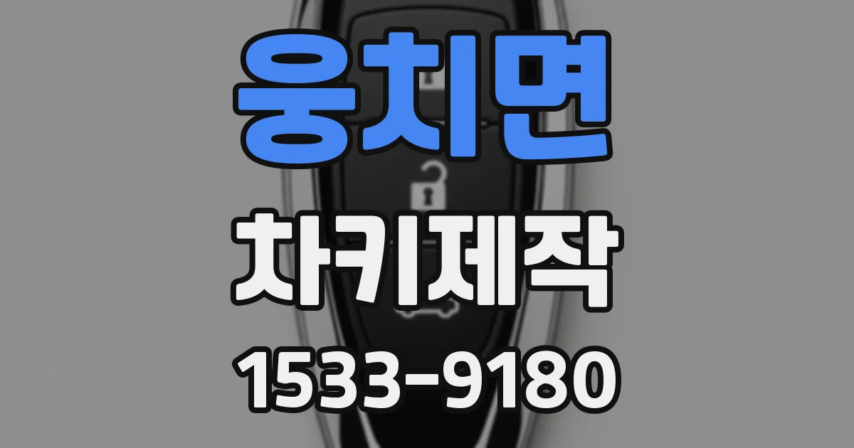 웅치면 차키제작
