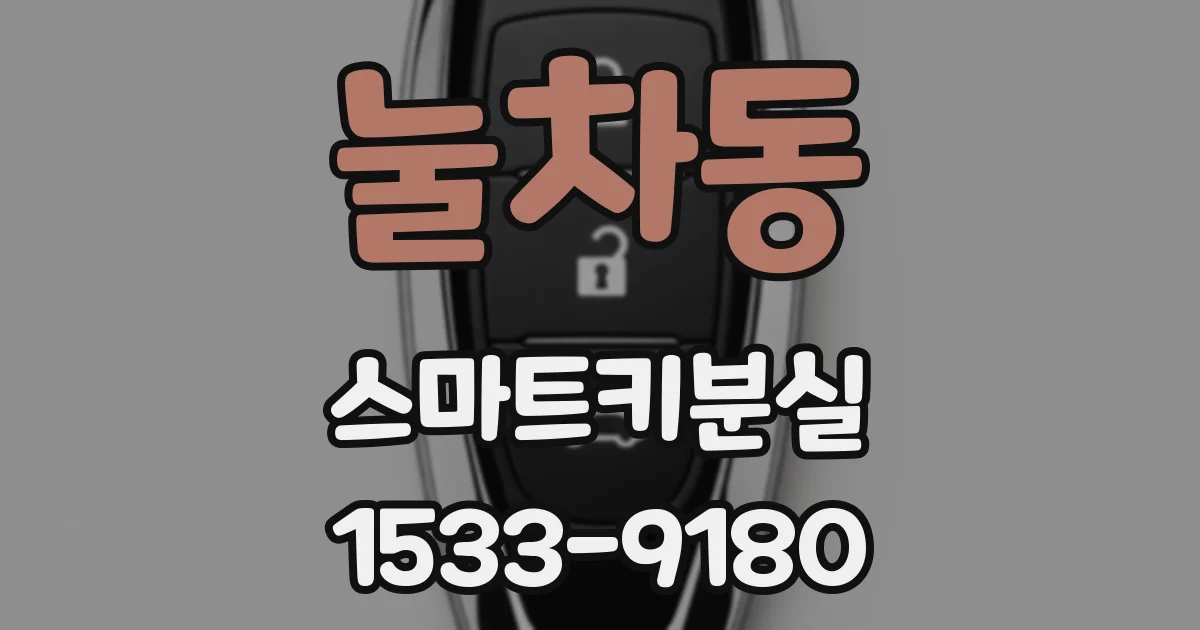 눌차동 스마트키분실