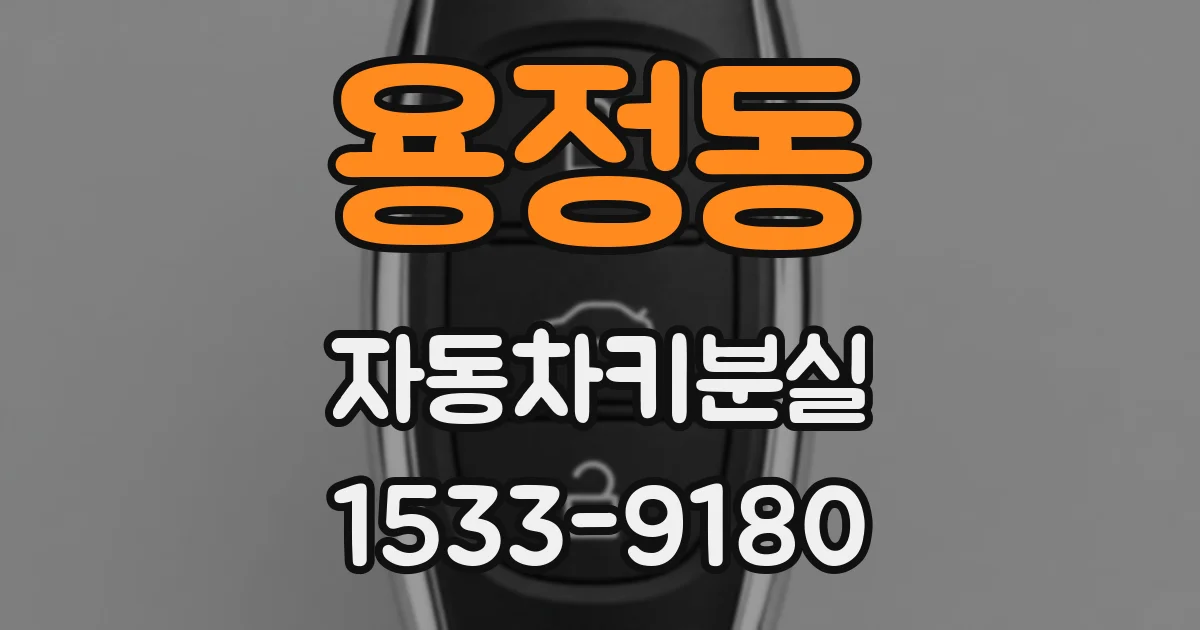 용정동 자동차키분실