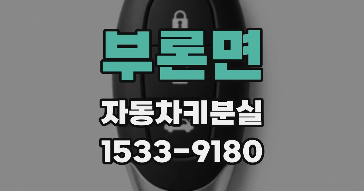 부론면 자동차키분실