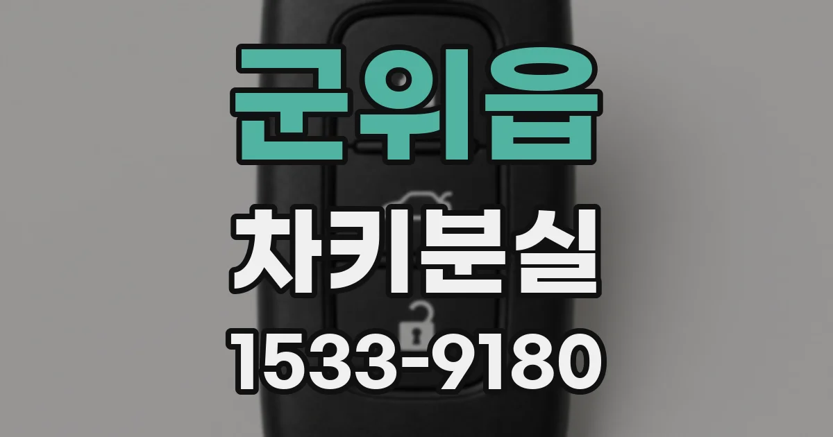 군위읍 차키분실