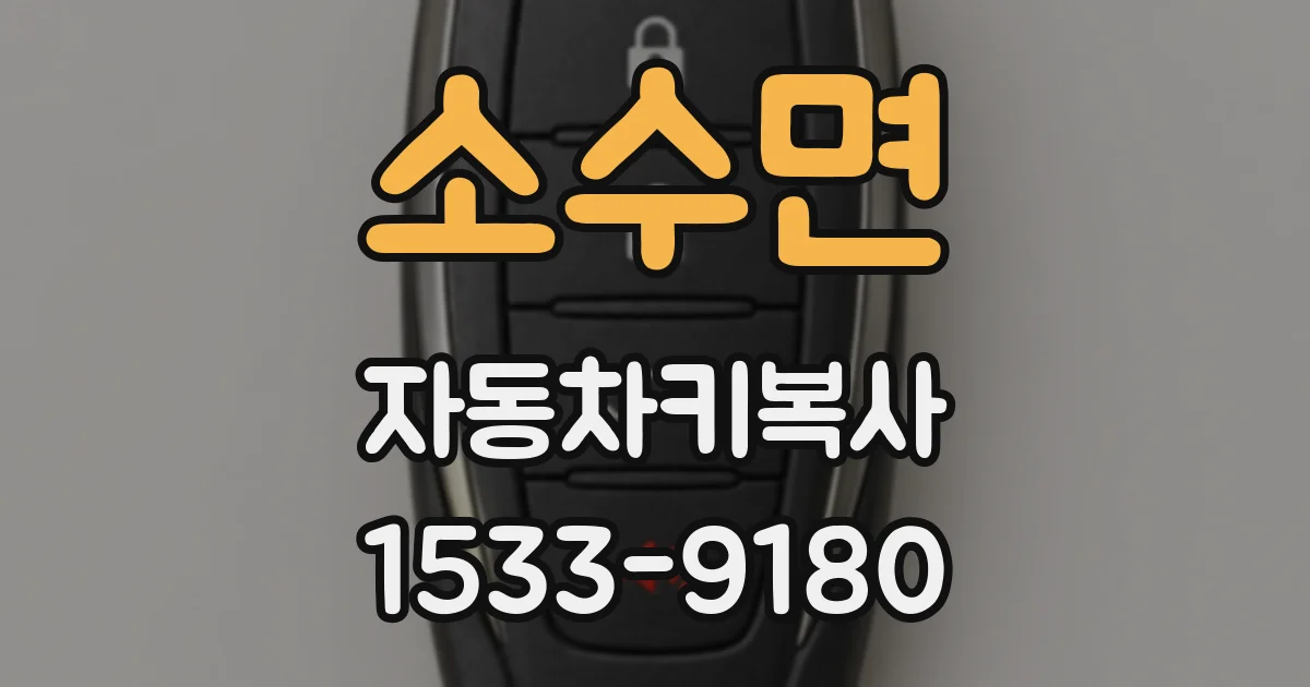 소수면 자동차키복사