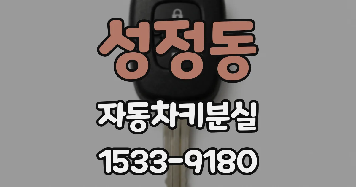 성정동 자동차키분실