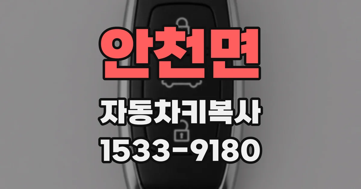 안천면 자동차키복사