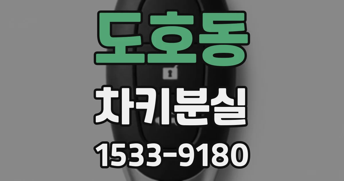 도호동 차키분실