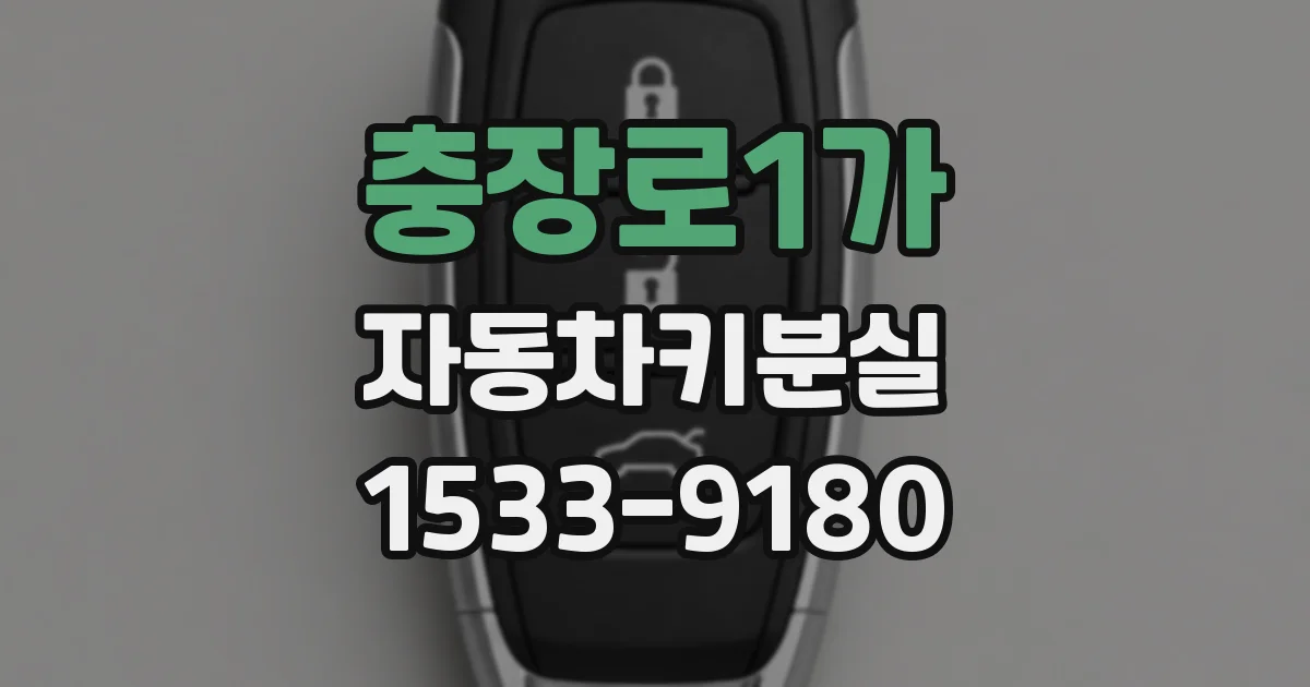 충장로1가 자동차키분실