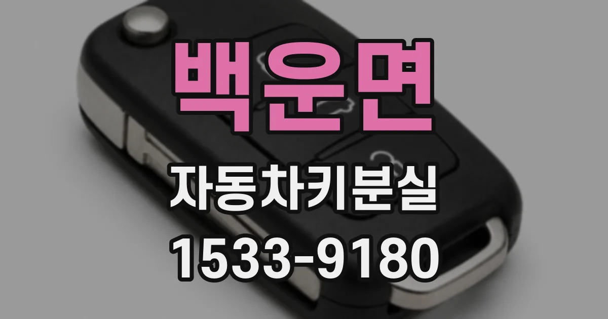 백운면 자동차키분실