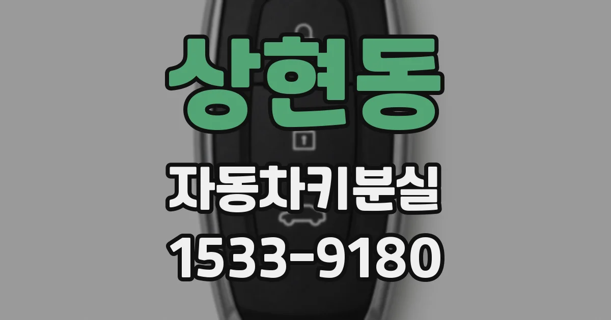 상현동 자동차키분실
