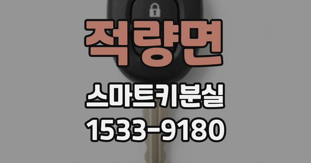 적량면 스마트키분실