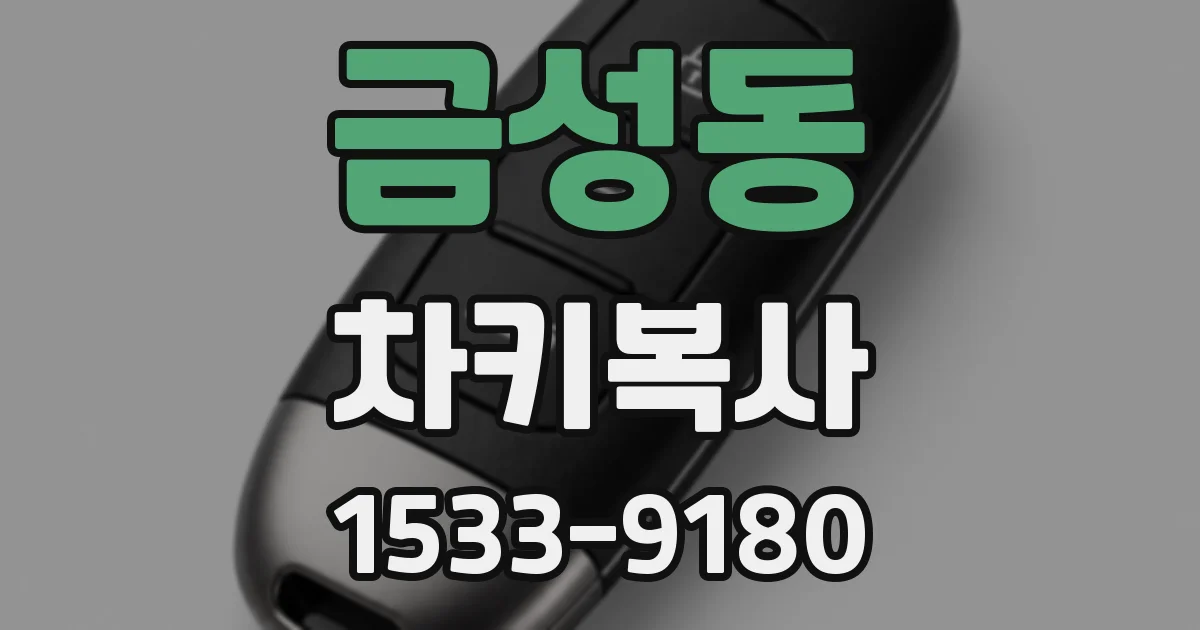 금성동 차키복사