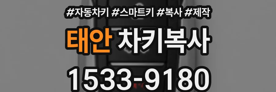태안 차키복사