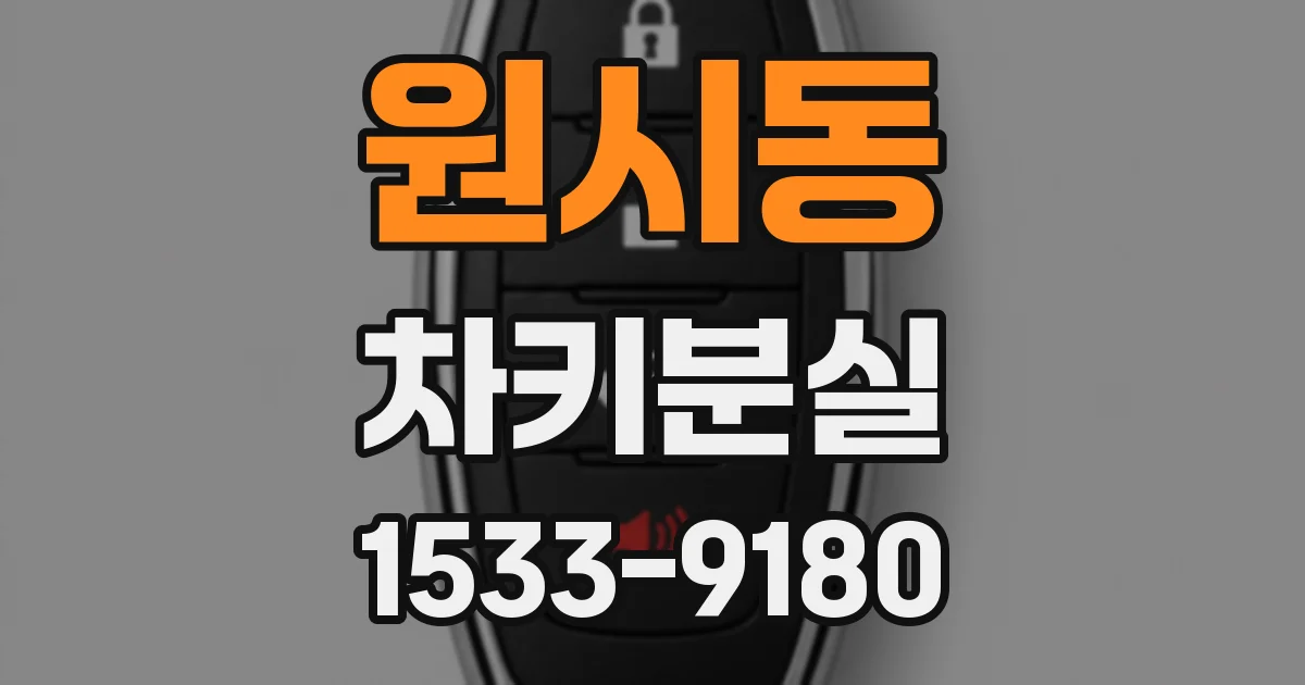 원시동 차키분실